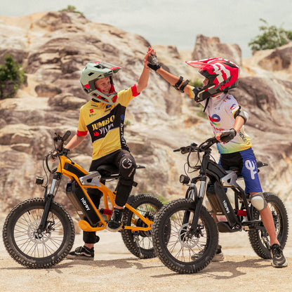 two electric dirtbikes on blurred desert background
