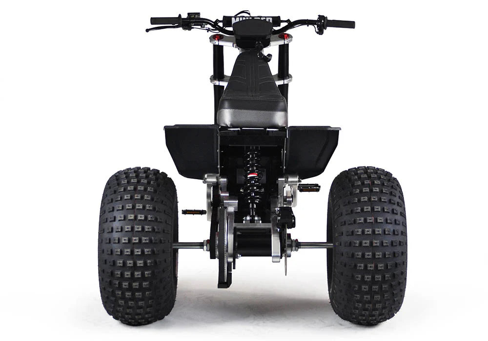MINI RCR T3 - Black Carbon Fenders / Blue Decals Rear View