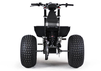 MINI RCR T3 - Black Carbon Fenders / Blue Decals Rear View