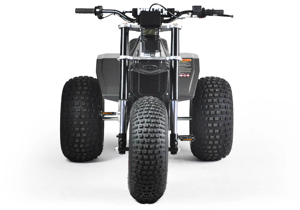MINI RCR T3 - Black Carbon Fenders / Blue Decals Front View