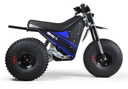 MINI RCR T3 - Black Carbon Fenders / Blue Decals Studio Side View