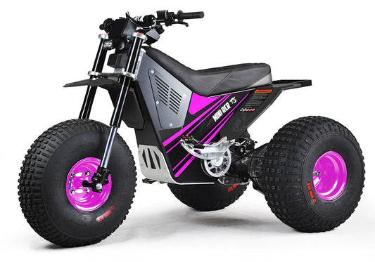 MINI RCR T3 - Pink W Black Carbon Fenders Special Edition