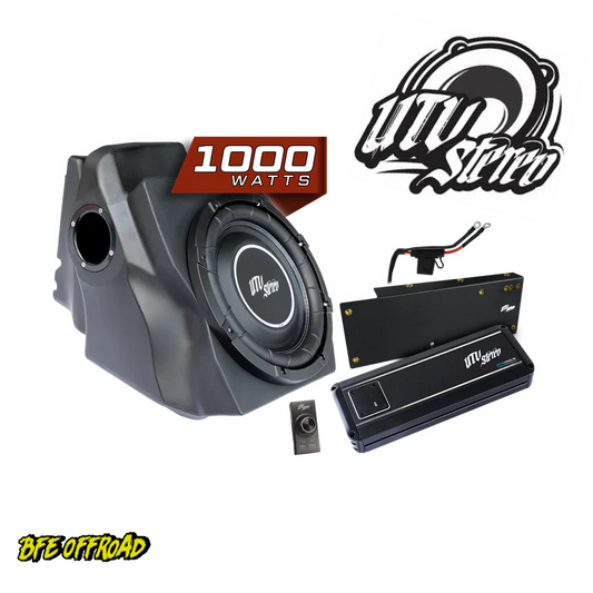 Car audio system with subwoofer, amplifier, and '1000 Watts' label on a white background.