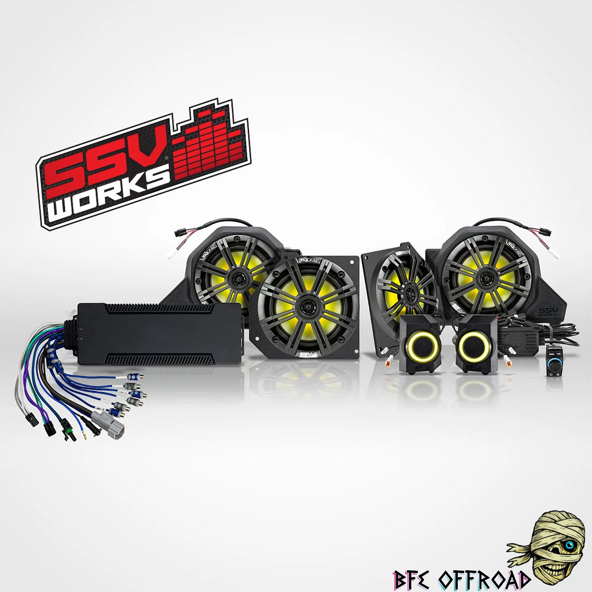 Automotive audio system with SSV Works logo on a white background