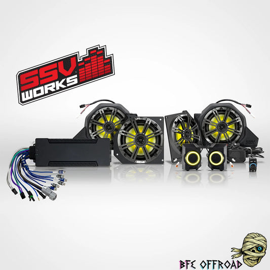 Automotive audio system with SSV Works logo on a white background