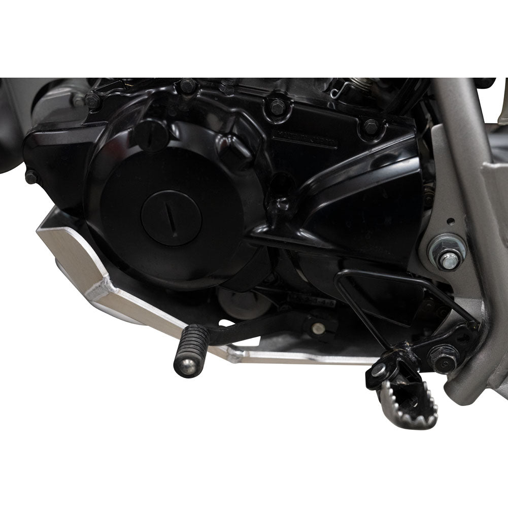 Close-up of a motorcycle engine and footpeg assembly, showing black and silver components on a white background.